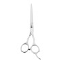 Foarfeca FRF07 de Tuns metalica Argintie de 5,5 cm cu cheita metalica